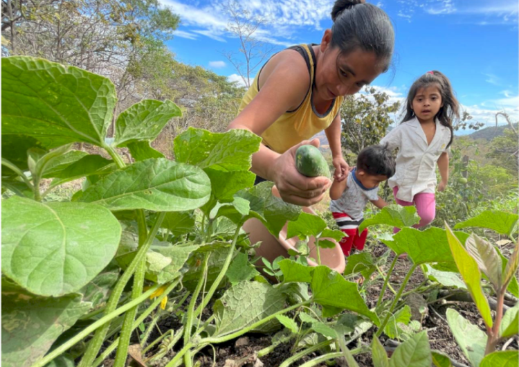 Banco Centroamericano de Integración Económica y el Fondo Verde del Clima firman acuerdo para implementar un programa de adaptación al cambio climático en beneficio de más de 2 millones de la región