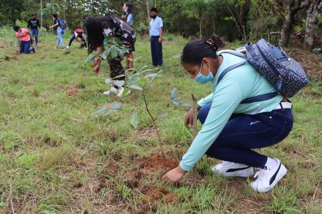 Panamá, tercer país en aprobar propuesta para implementar la educación para el desarrollo sostenible