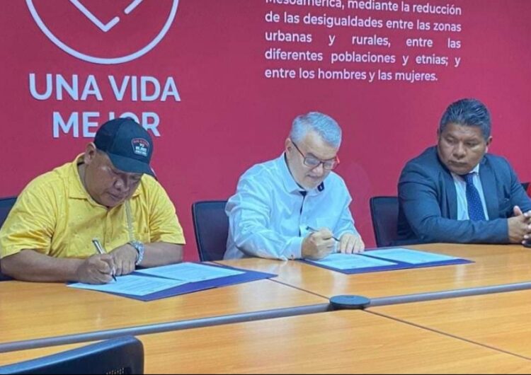 Carta de Entendimiento se firma entre la FAO y COONAPIP