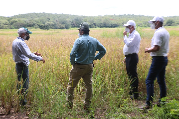 Banco de Desarrollo Agropecuario ofrece financiamiento para mitigar el impacto de la temporada seca 