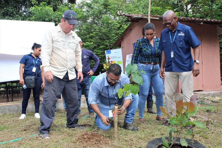 MOP: Consorcio La Cabima realizan reforestación en Proyecto de Intercambiador en conjunto con el Ministerio de Obras Pública y el de Ambiente