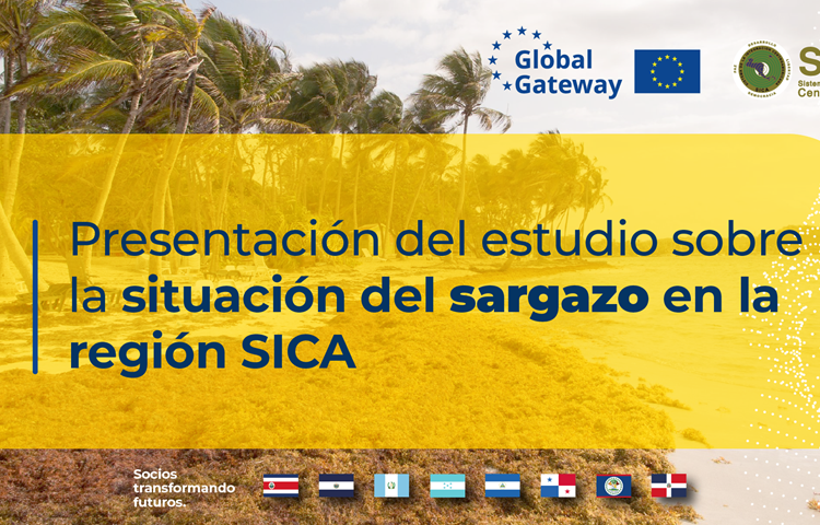 Centroamérica: SICA y UE presentan estudio sobre la situación del sargazo en la región