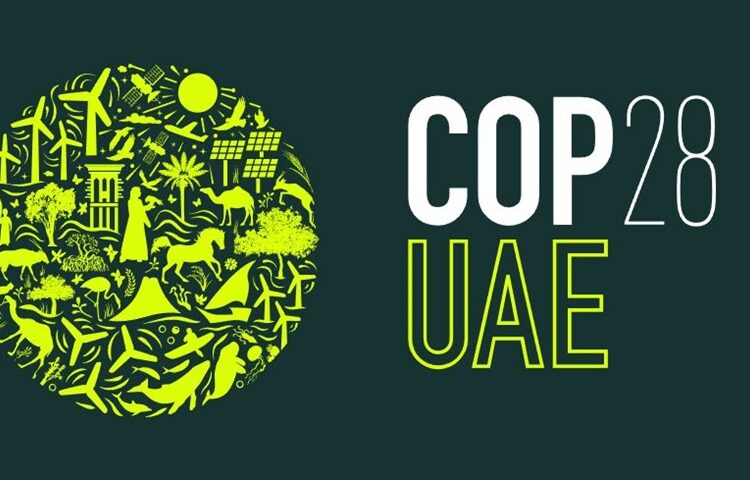 COP28: Bancos de desarrollo anuncian principios comunes para monitorear el financiamiento vinculado con la naturaleza
