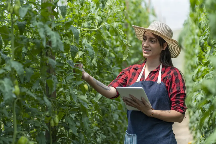 BID Invest apoya la seguridad alimentaria a través de fondo sostenible para América Latina y el Caribe