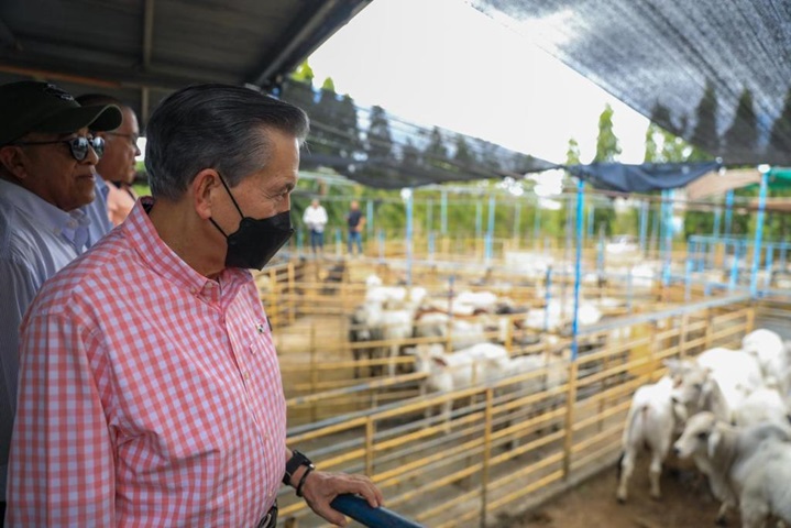 Pequeños productores del sector ganadero de Herrera y Veraguas se benefician con aportes del gobierno central