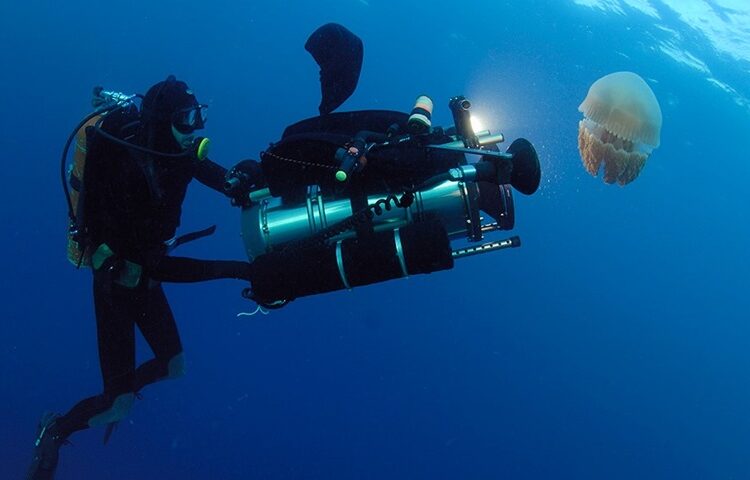 Una inmersión profunda en 8K: el director de fotografía submarino Pawel Achtel habla sobre la nueva Era del cine de alta resolución