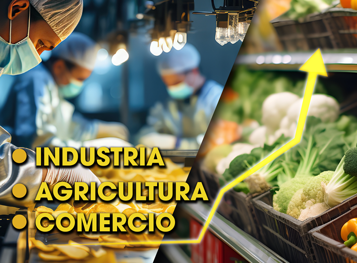 Industria, agricultura y comercio registran el mayor dinamismo del portafolio de crédito al primer trimestre 2024