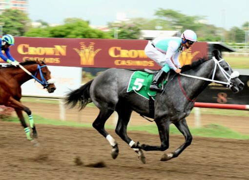 Nuevo Reglamento de Carreras de Caballo cumple con estándares internacionales