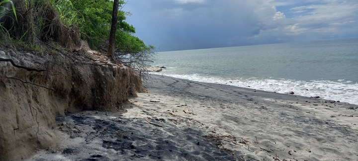 Estudio científico revela el impacto de la erosión costera en tres playas del Pacífico Panameño