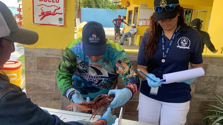 Torneo de pesca para reducir población del pez león en aguas panameñas