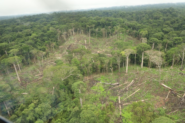 Detectan posibles daños ambientales en humedales y bosques en Darién