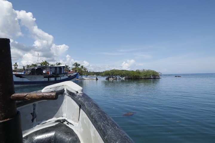 Ministerio de Ambiente exhorta a pescadores a proteger a las especies marinas y ser responsables con sus artes de pesca